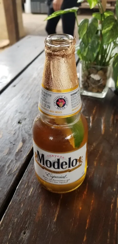 Mexican Beer
